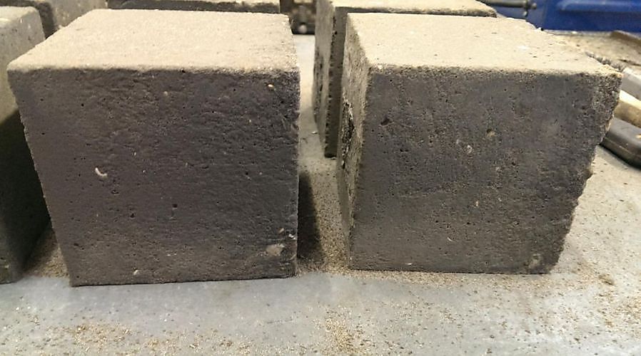 Des nanofibres de racines dans les ciments