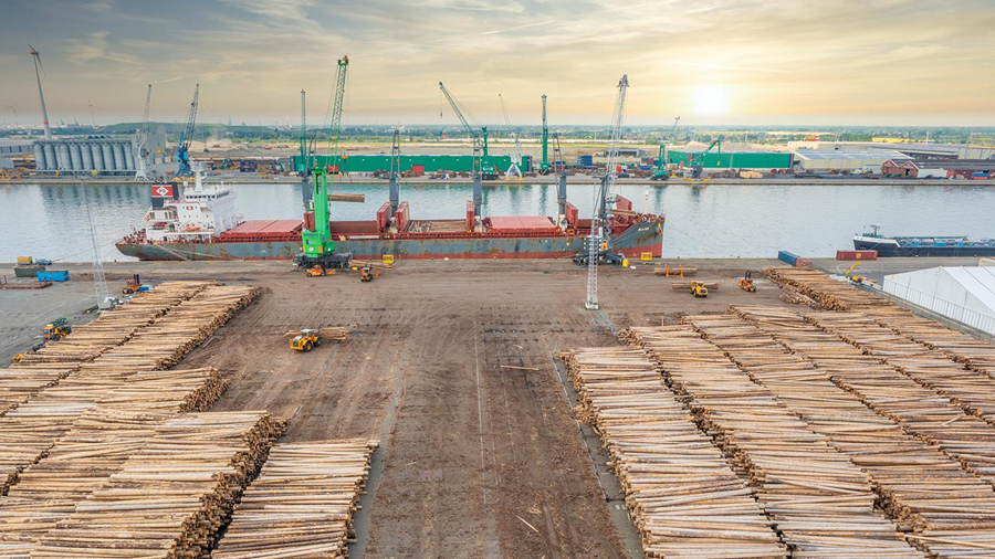 Le commerce européen du bois va être soumis à des règles plus strictes