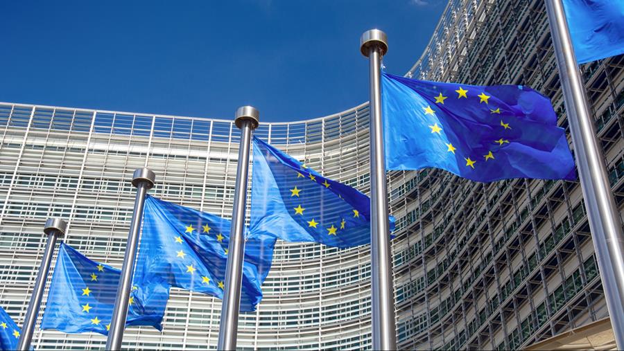 Wie is de hoofdredacteur van het Europees gezondheidsrecht?