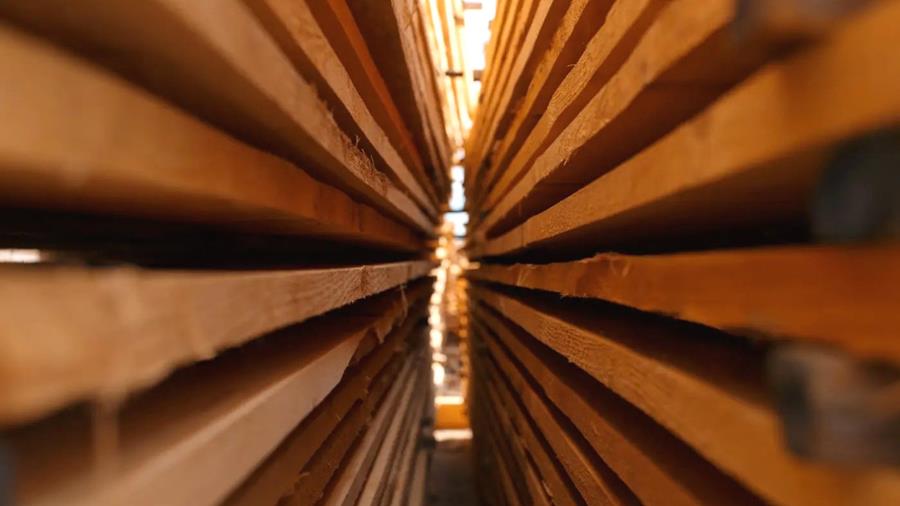 FAVV start inspecties bij groothandels hout en schors
