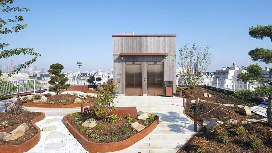 Un jardin d'inspiration japonaise au cœur du nouveau projet ADN de la DTACC à Paris