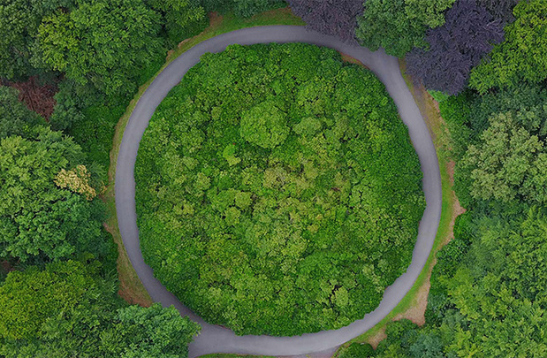 Waarom de Circulaire Economie het beste is voor het bedrijfsleven