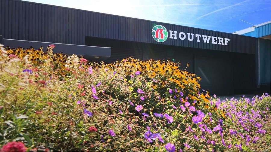 Deli Home, Houtwerf et Distri-Hout unissent leurs forces