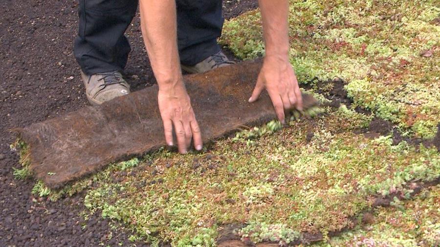 Hoe leg je zelf een extensief groendak?